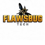 Image flawsbugtech