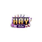 Image haywinwebsite